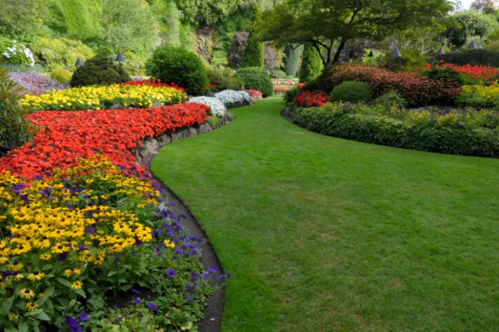 Francisco Landscaping's Other Services Francisco Landscaping's Other Services