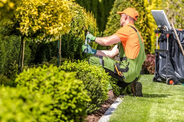 Garden Design Garden Design