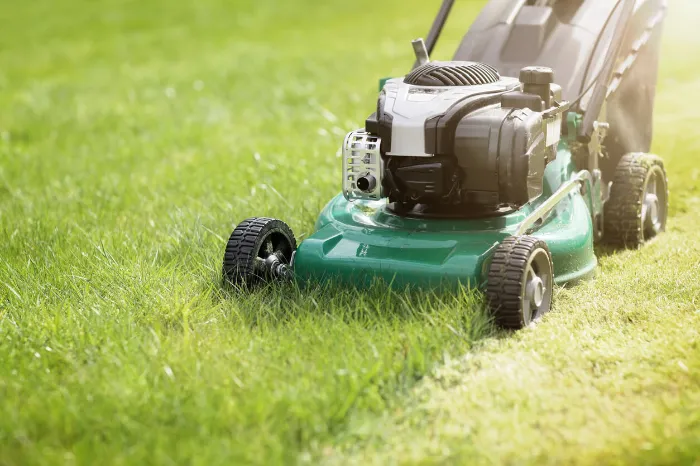 Lawn Maintenance
