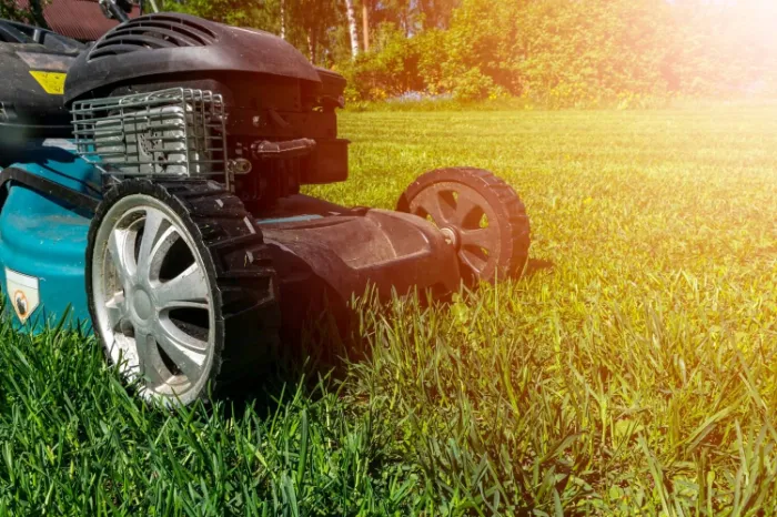 Lawn Service in Round Rock, TX