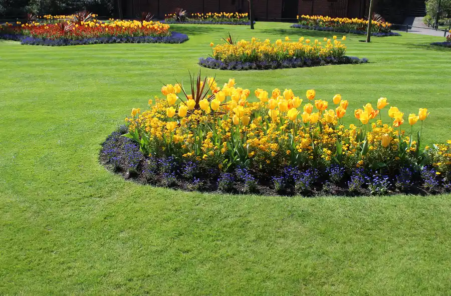 Affordable Garden Design Round Rock, TX