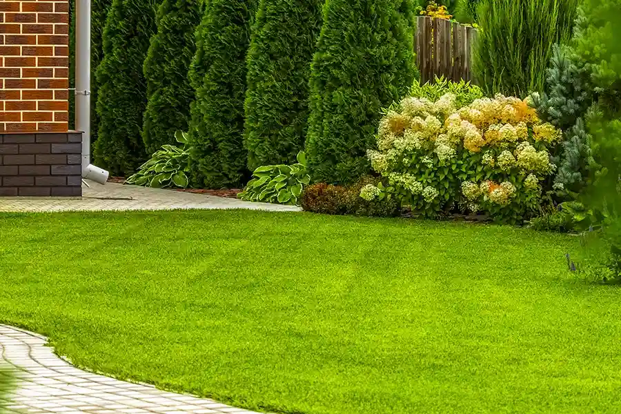 Experienced Lawn Care Service Round Rock, TX