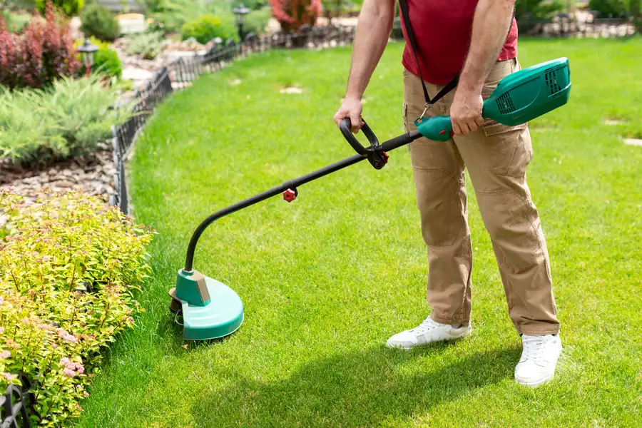 Expert Lawn Care Service Round Rock, TX