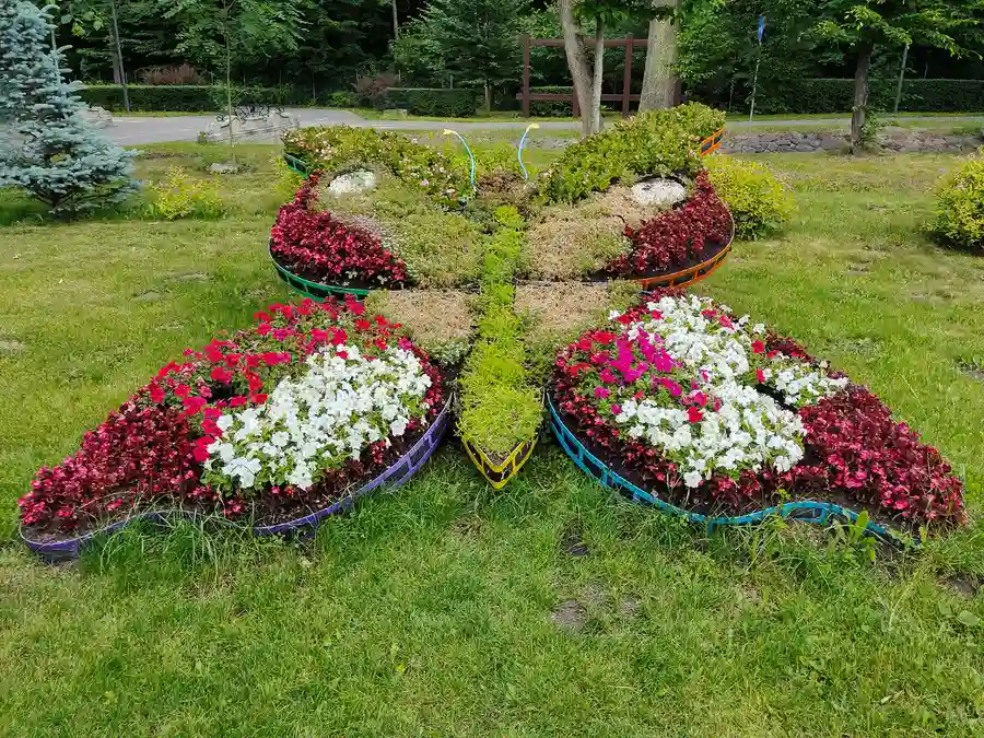 How To Create A Functional Outdoor Living Space in Round Rock, TX