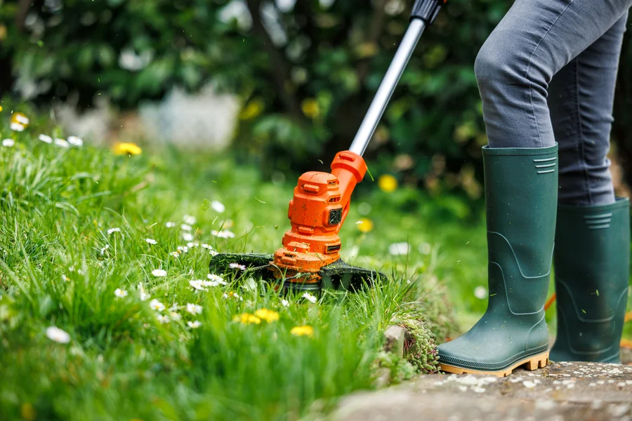 Reputable Lawn Care Service Round Rock, TX