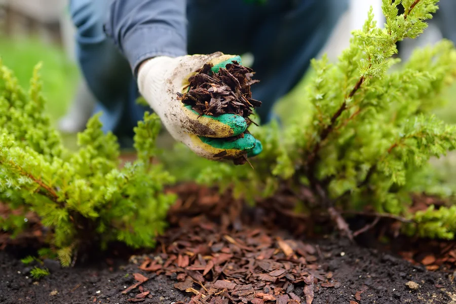 The Benefits Of Mulch Installation For Weed Prevention in Round Rock, TX