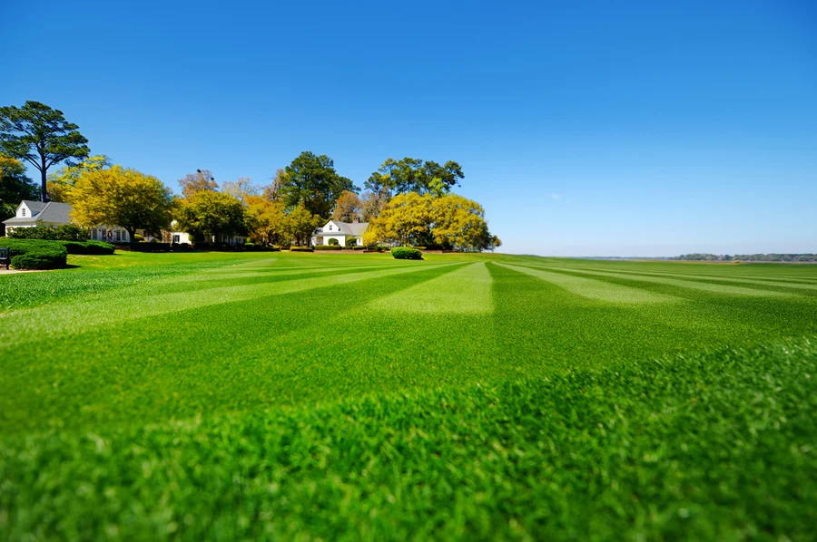 The Benefits Of Professional Lawn Care For Seasonal Maintenance in Round Rock, TX